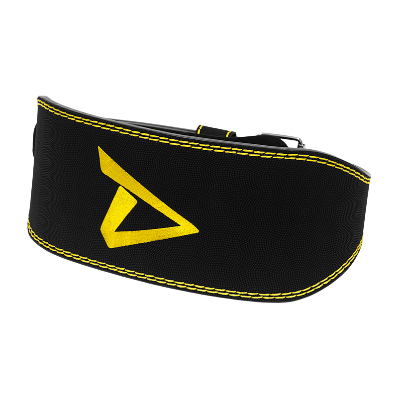 Lifting Belt